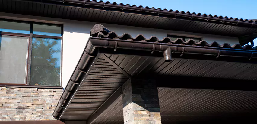 Soffit Damage Repair in Naperville